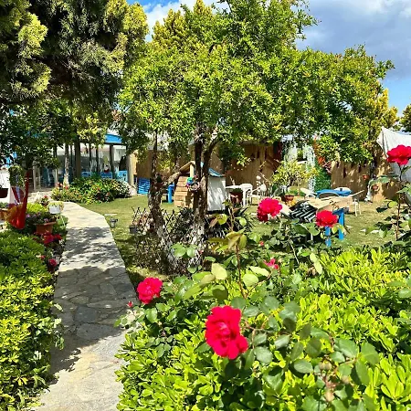 Bonjourla